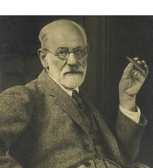 Home Freud.png